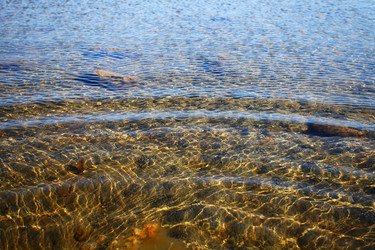 Similar image 5603305