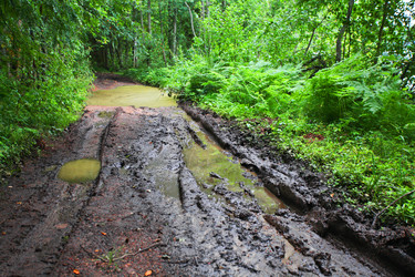 Similar image 5603306