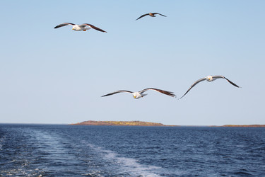 Similar image 5603307