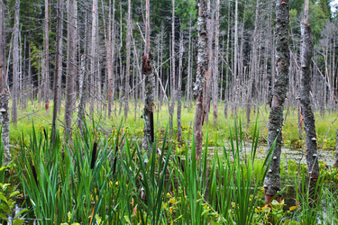 Similar image 5603319