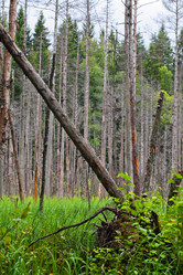 Similar image 5603329