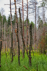 Similar image 5603338