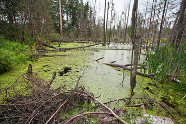 Similar image 5603350