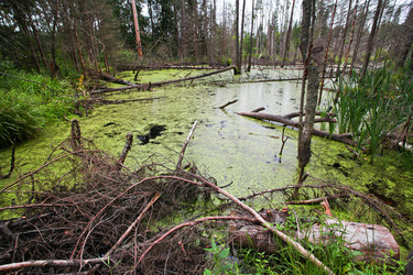 Similar image 5603351