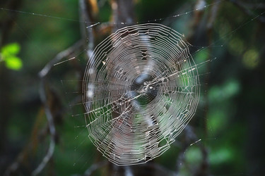 Similar image 5603369