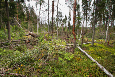 Similar image 5603379