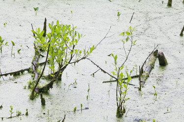 Similar image 5603381