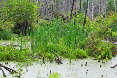 Similar image 5603382