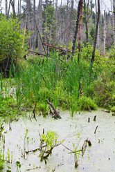 Similar image 5603383