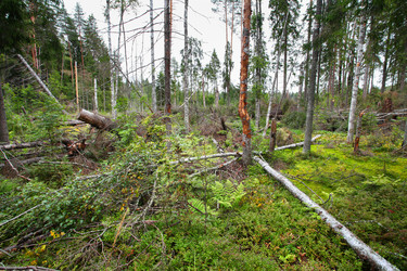 Similar image 5603391