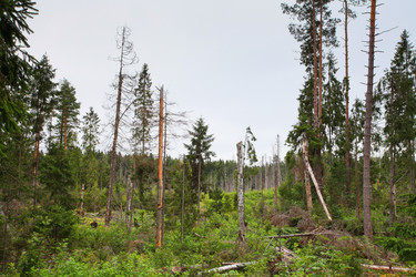 Similar image 5603393