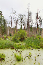 Similar image 5603395