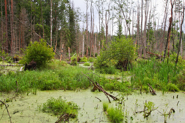 Similar image 5603396