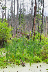 Similar image 5603397