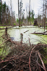 Similar image 5603398