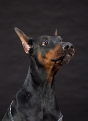 Similar image 5603434