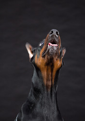 Similar image 5603436