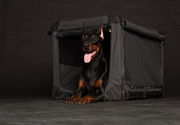 Similar image 5603438