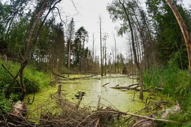 Similar image 5603515