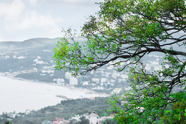 Similar image 5603536