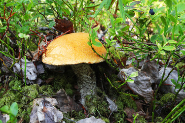 Similar image 5603552