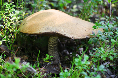 Similar image 5603555