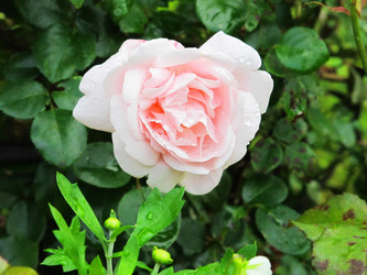 Similar image 5603556