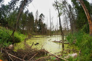 Similar image 5603561