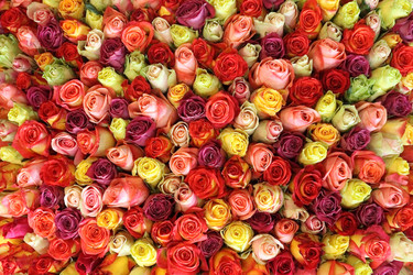 Similar image 5603570