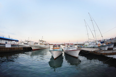 Similar image 5603574