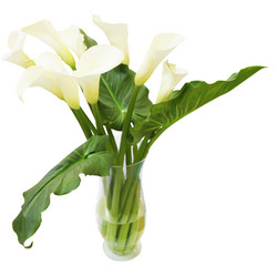 Similar image 5603580