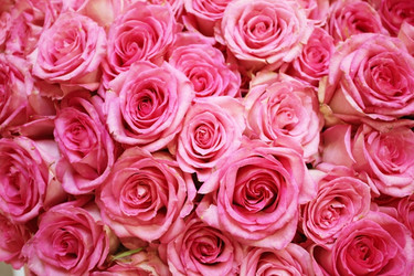 Similar image 5603581