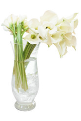 Similar image 5603583