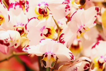 Similar image 5603589