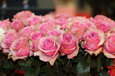 Similar image 5603590