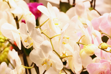 Similar image 5603596