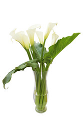 Similar image 5603598