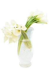 Similar image 5603619