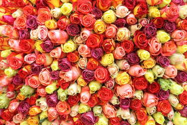 Similar image 5603623