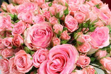 Similar image 5603624