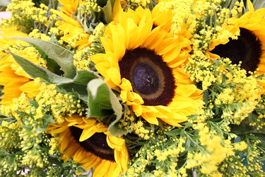 Similar image 5603627