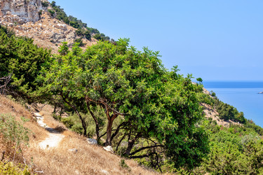 Similar image 5603670