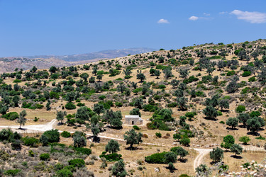 Similar image 5603687