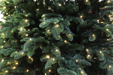 Similar image 5603803