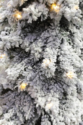 Similar image 5603805