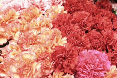 Similar image 5603809