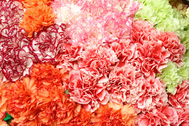 Similar image 5603810