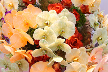 Similar image 5603819