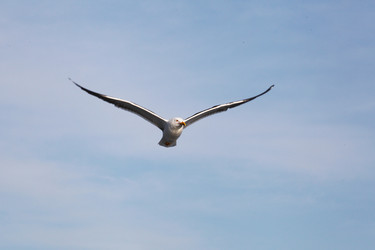 Similar image 5603861