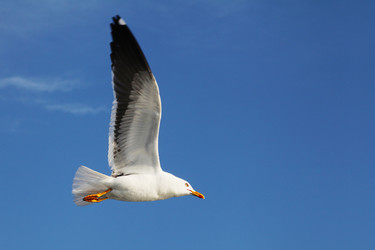 Similar image 5603866